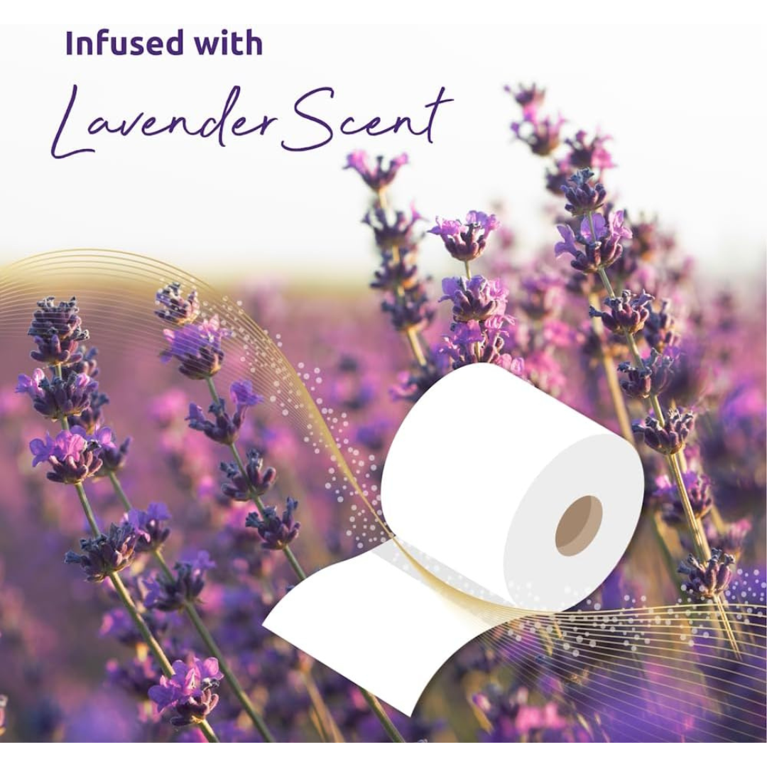 Pallet – Phoenix 3-Ply Lavender Toilet Rolls | 2,520 Rolls (12 Packs x 42 Cases)