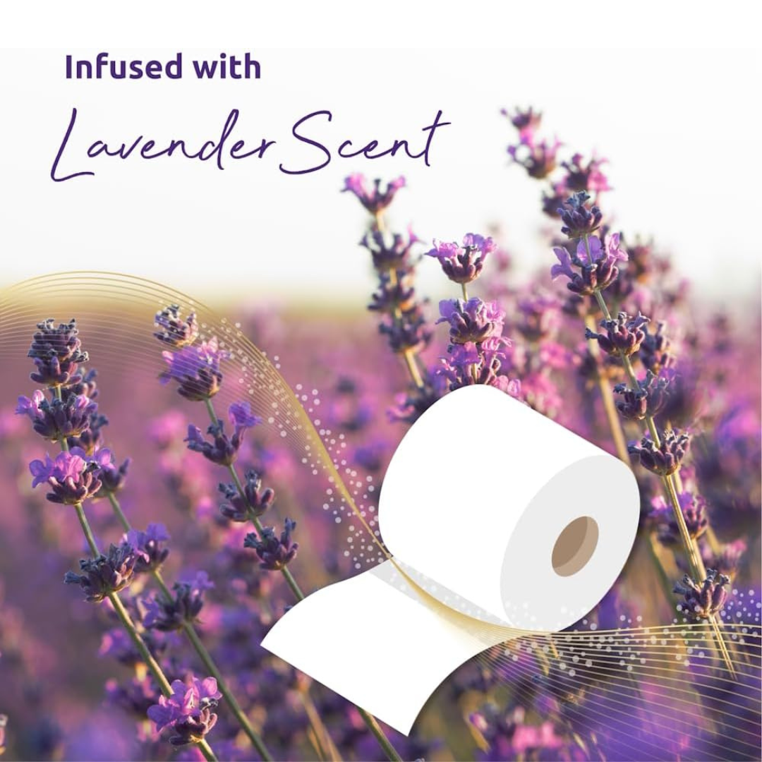 120 Rolls Soft Supreme Luxury Quilted 3 Ply Lavender-Fragranced Toilet Rolls