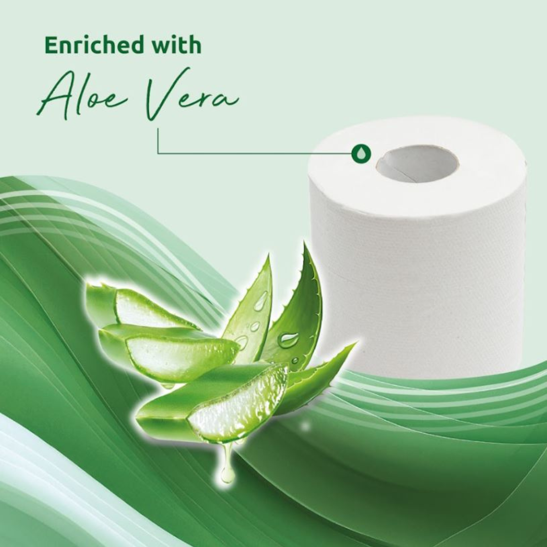 Pallet – Phoenix 3-Ply Aloe Vera Toilet Rolls | 2,160 Rolls (45 Rolls x 48 Cases)